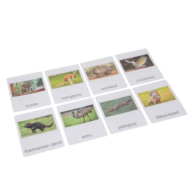 Australia  Wildlife  Sorting Cards EN