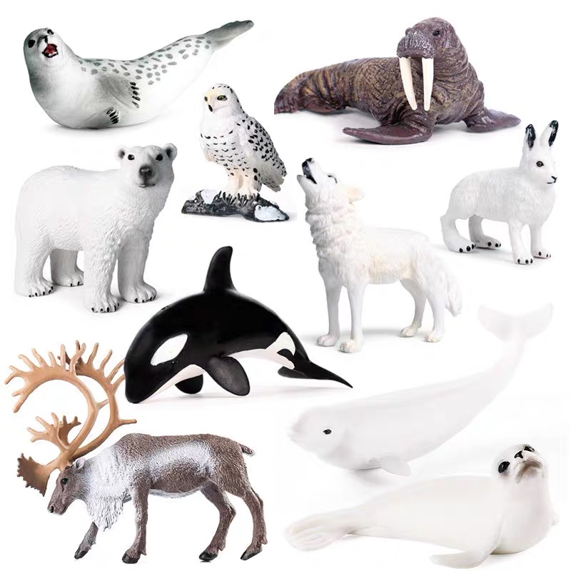 Animal from Arctic objects