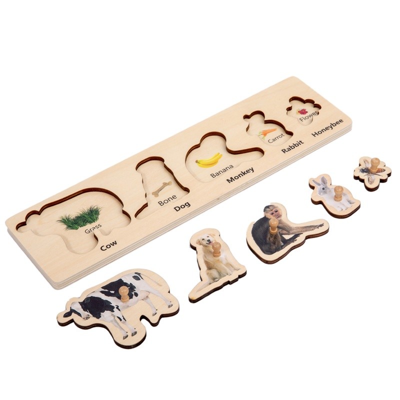 Food Chain  Puzzle