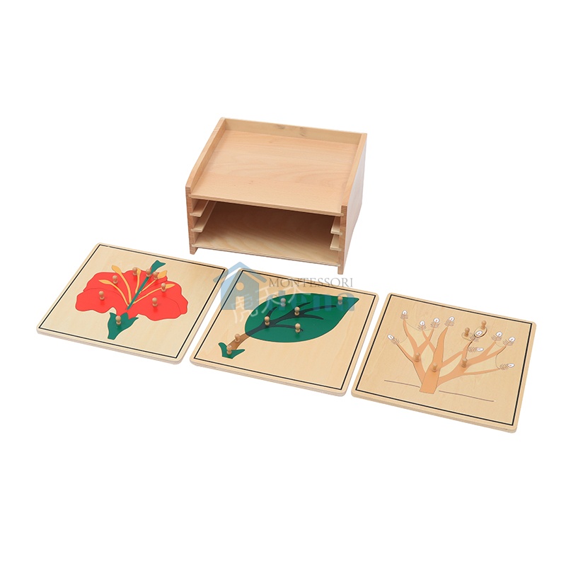 Botany  Puzzle Cabinet
(3 Puzzles Included)
