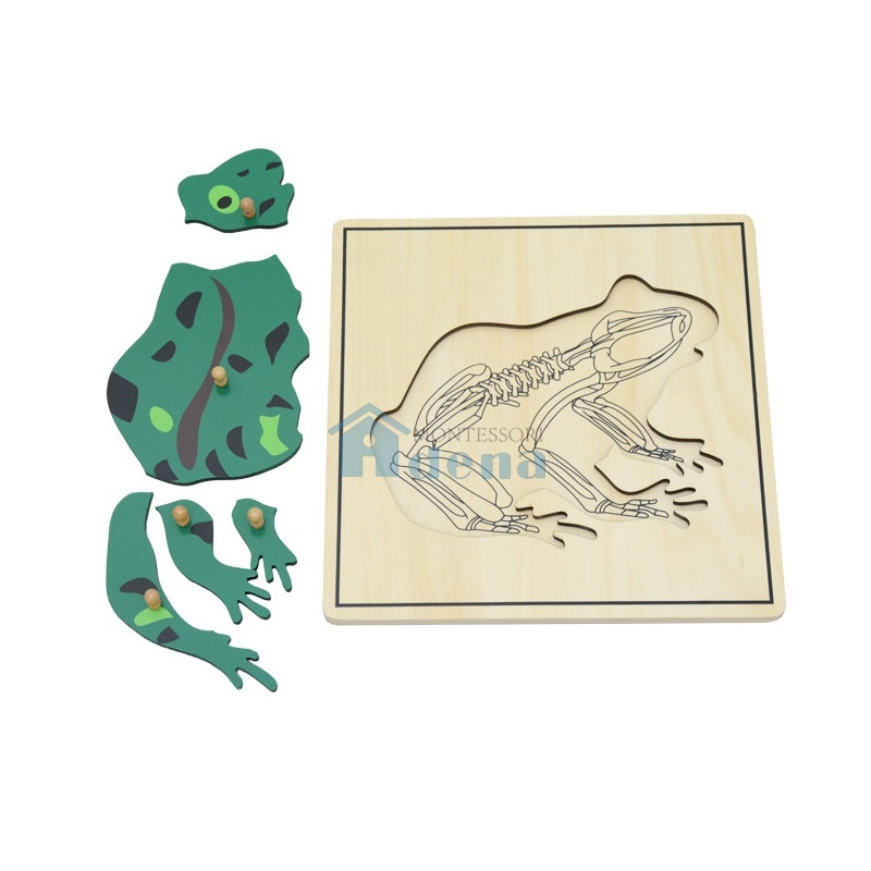 Frog & Skeleton Puzzle