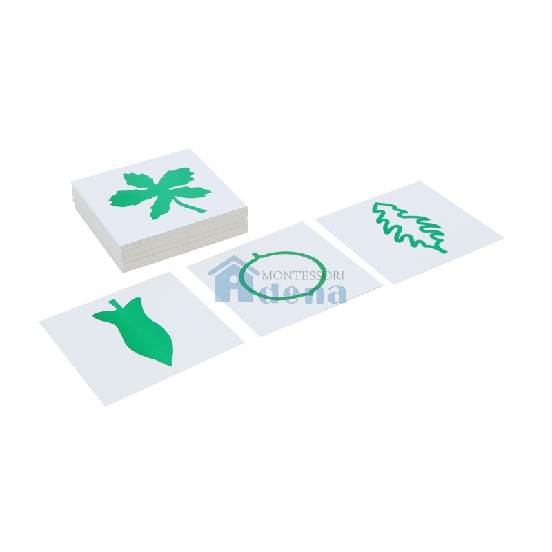 Leaf Cards