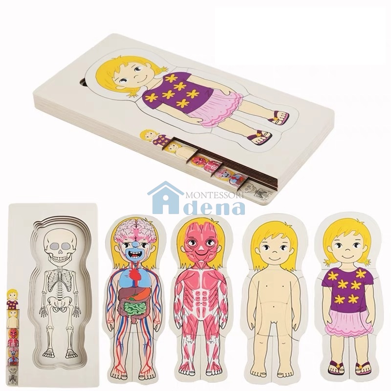 Body Puzzle of Woman