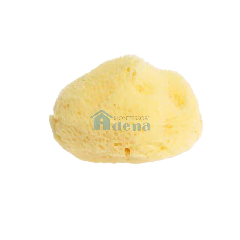 Large Natural Sponge  D3640