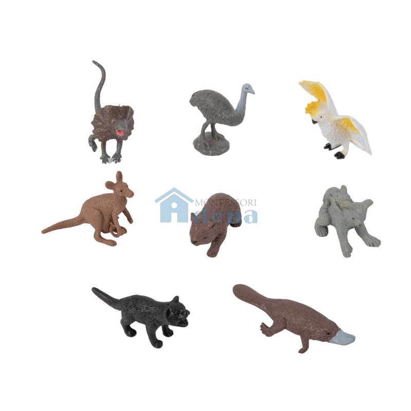 Oceania Wildlife objects 