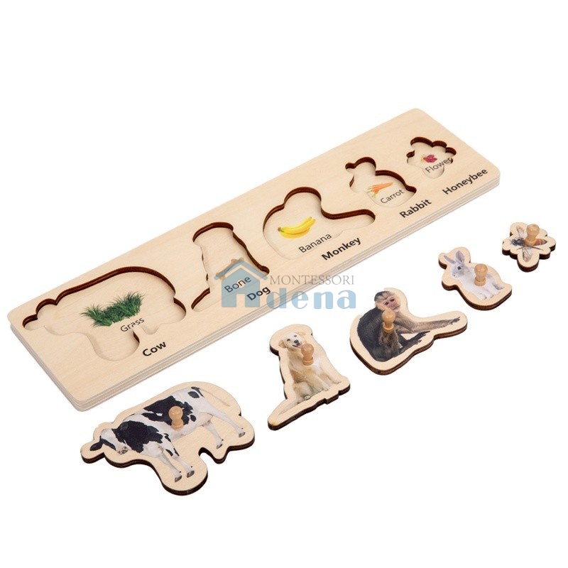 Food Chain  Puzzle