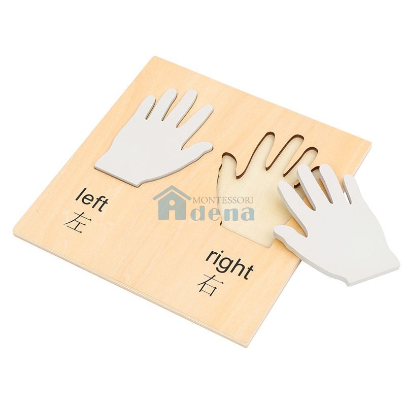 Hands Puzzle