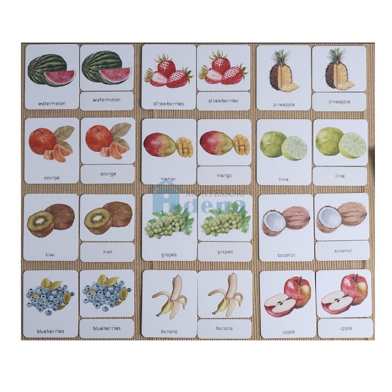 Fruits 3-Part Cards English w/ Stand