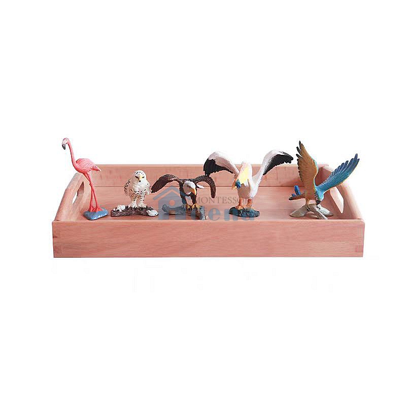 Replicas Objects
-Birds with wooden tray