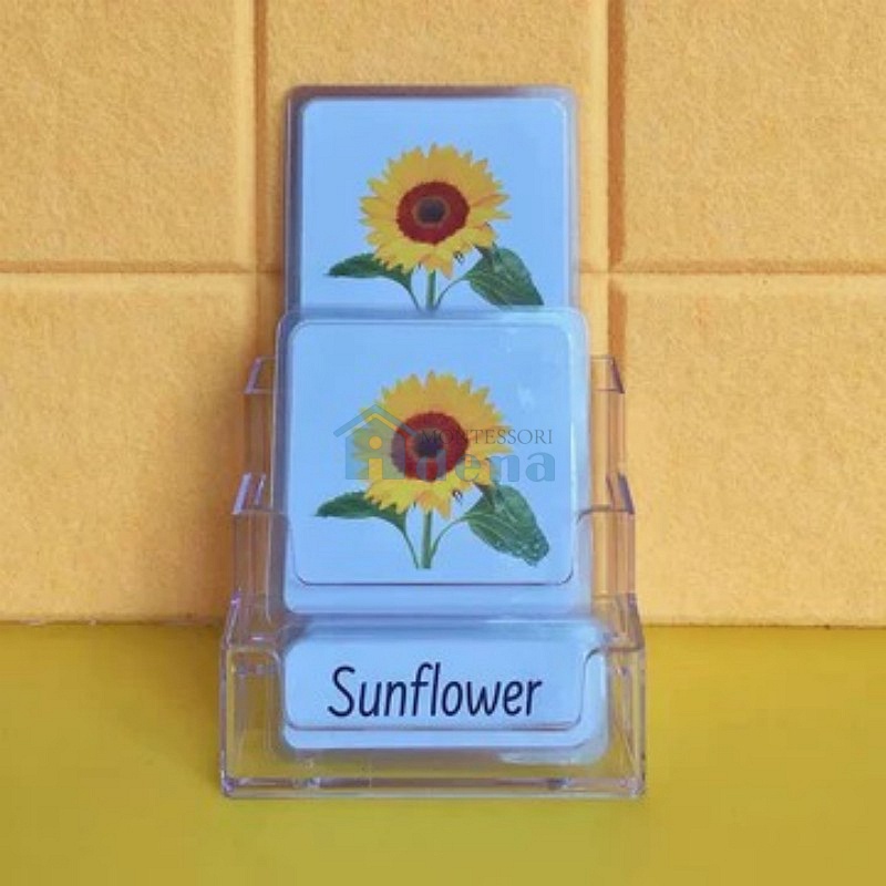 Three-Parts Cards w/ Stand
-Flowers（10 sets）