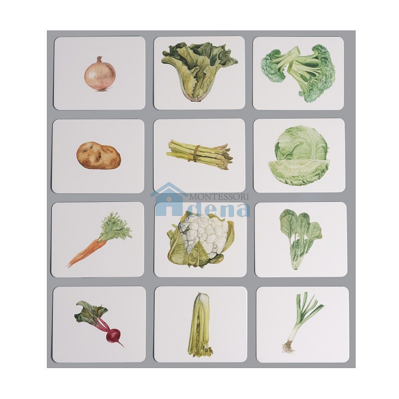Vegetables Nomenclature/Classified Cards for IC