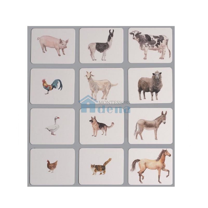 Farm Animals Nomenclature/Classified Cards for IC
