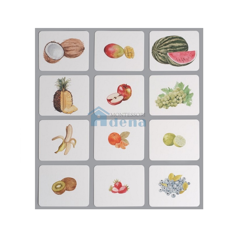 Fruits Nomenclature/Classified Cards for IC
