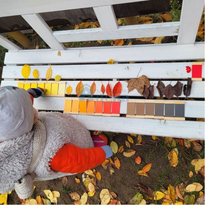 1765261166851801.png image.png