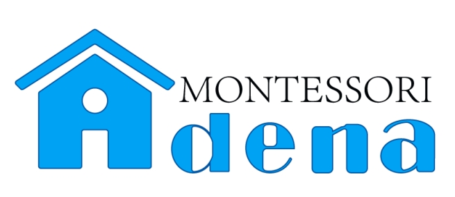 Established Adena Montessori in Ohio, USA